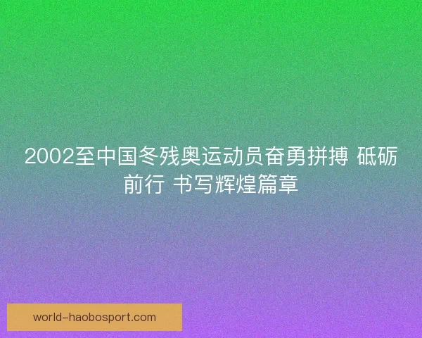 2002至中国冬残奥运动员奋勇拼搏 砥砺前行 书写辉煌篇章